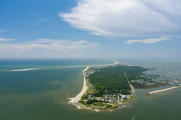 Quels sont les meilleurs spots pour la plongée avec les dauphins en Mer Rouge, Égypte : équipements et périodes ?